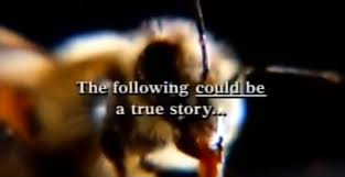Thomas howell, tracy nelson, fiona loewi and others. Killer B Movies About Killer Bees The Chimes