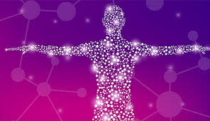 Enlarge anatomy of the female reproductive system. How Are Biomarkers Used To Treat Cancer Md Anderson Cancer Center