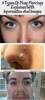 9 Types Of Nose Piercings Explained With Information And Pictures Piercing D Explai Nose Piercing Nose Piercing Cost Piercings