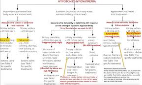 Determining The Cause Of Hyponatremia Time Of Care