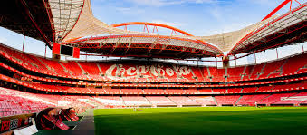 Condeixa domingo, às 16:00 benfica campus btv #sóháumbenfica #medicare #amatoscar. 231 Beste Benfica Bilder Stock Fotos Vektorgrafiken Adobe Stock
