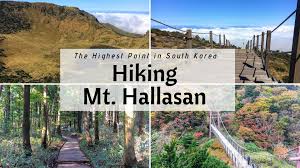 Check spelling or type a new query. The Best Trail To Hike Mt Hallasan On Jeju Island South Korea Erika S Travelventures