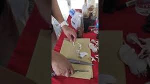 Setelah miselium memenuhi keseluruh beg cendawan, susunkan ke atas rak dengan cara merebahkannya. Cara Membuat Benih Cendawan Youtube