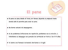 El Pene Del Nino Cuidados Dra Garin Pediatra