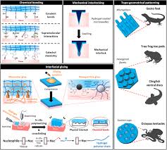 Image result for Tissue Adhesive