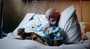 Life finds a Way — If Hopper is Will's dad, these will always be the...