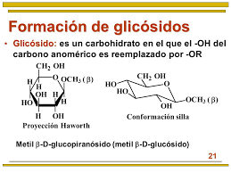 Los Glicosidos