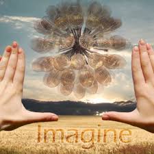 We help independent retailers maximize profit with the right product at the right price. Viz Glass Vizglass Twitter