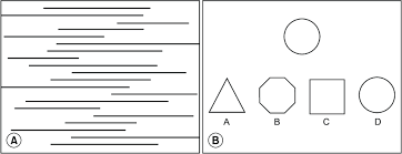 Using the idea of bisection search, write a recursive algorithm that checks if a character is included within a string, as long as the string is in alphabetical order. Examples Of Evaluation Tool A Line Bisection Test Consists Of 20 Download Scientific Diagram
