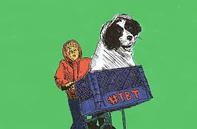 Image result for Passes to walk.