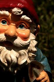 Gnome Nain De Jardin Illustration Noel Jardins