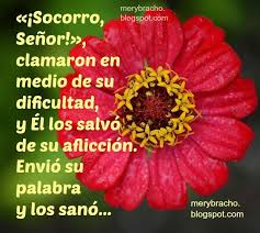 Frases Cristianas En Enfermedad Y Problemas Entre Poemas Y Vivencias Frases Cristianas Frases De Aliento Frases