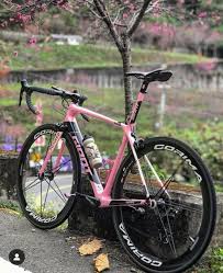 pin by gabriel quesada campos on road bikes giant bikes road bike road bikes