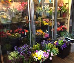 Check spelling or type a new query. The 13 Best Flower Shops In Denver