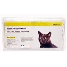 The best way to prevent this type of infection is to vaccinate your cat against bordetella. Nobivac Feline Bb Bordetella Bronchiseptica Vaccine For Cats Medi Vet