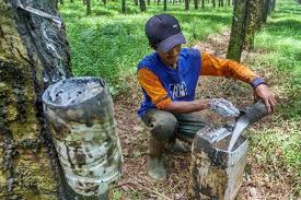 Berikut daftar harga emas batangan. Harga Karet Anjlok Lebih Dari 2 Pagi Ini Market Bisnis Com
