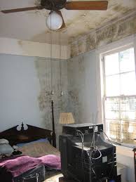 A space to study and rest. What Causes Condensation And Damp In Houses Dengarden Home And Garden