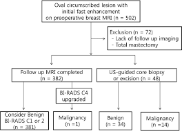 Diagrammatic Flow Chart Of The 430 Lesions And Follow Up