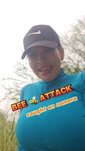 Bee sting incident while fishing, safety precautions and bee behavior