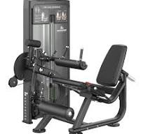 Binom Advanced BA01 Máquina de flexão de perna dupla e extensão femoral