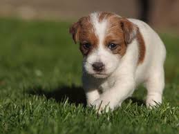 Patricia Cloud (cloud9grandma)