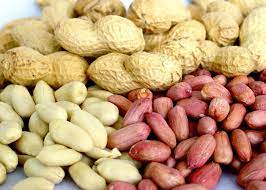 Amazon Com Peanut Seeds Red Peanut Plant Organic Non Gmo Vegetable Seeds For Planting Delicious High Yielding Arachis Hypogae Vegetables Peanut Raw Peanuts