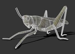 Last updated 12/2018 english english auto add to cart. Locust 3d Model Rigged And Low Poly Game Ready Team 3d Yard