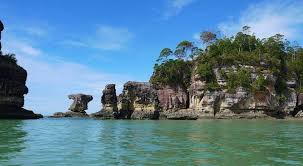 Apakah turis mengganggu habitat komodo? Bako Fest å¸å­ Facebook