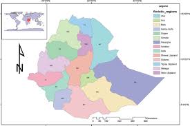 Image result for Antherotoma densiflora