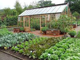 One of the most common problems new gardeners have is planting too much, too soon. How To Plan A Bigger Better Vegetable Garden Mother Earth News