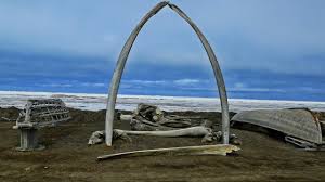 From wikipedia, the free encyclopedia. 24 Hours In Barrow Alaska Now Called UtqiaÄ¡vik Youtube
