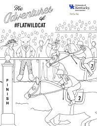 See more ideas about uk wildcats, wild cats, kentucky. Flat Wildcat