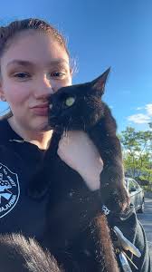 Found black and white cat in Watertown