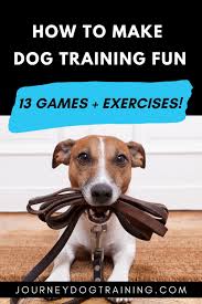 Online dog training courses 01 positive and effective dog training, online and anytime! 13 Dog Training Games And Exercises With Video Demos Journey Dog Training