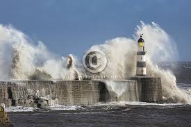Your seaham lighthouse crashing waves stock images are ready. Waves Crashing Over Seaham Lighthouse Wildlife Reference Photos For Artists