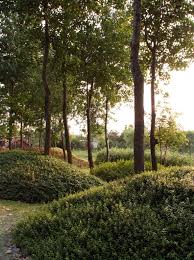 Jardin De Montreal A Shanghai Design D Amenagement Paysager Jardins Jardin Contemporain