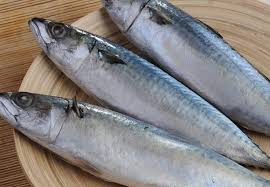 Fish Francopat Food