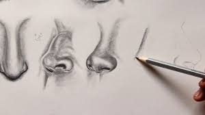 And, because you now understand the basic construction of the nose thanks to this lesson, we hope you'll soon be able to draw endless varieties of noses! Different Types Of Realistic Nose Drawing Youtube