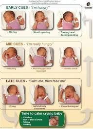 Pin On Baby