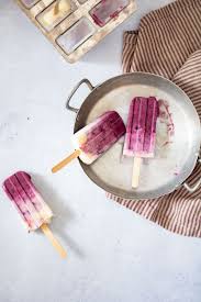 Yaourt Glace Aux Myrtilles Frozen Yogurt Recette Recette Glace Yaourt Glace Myrtille