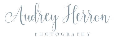 Audrey Herron Photography