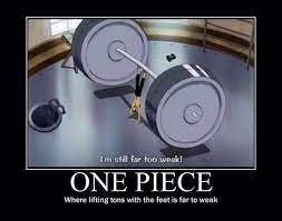 Roronoa Zoro Workout One Piece Funny One Piece Meme One Piece Comic