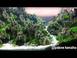 22 Cara Bikin Aquascape Pemula Bagian Ke 3 Youtube Aquascaping Akuarium Gambar