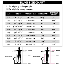 Elite Sports Gi Review 2019 Updated How Good Is It For