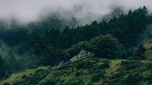 Na25 Nature Mountain Green Macbook Laptop Ideas Of Macbook Laptop Laptop Macb Nature Desktop Wallpaper Laptop Wallpaper Desktop Wallpapers Nature Desktop