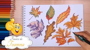 Fluturele este o insectă din ordinul lepidoptera. Desen In Creion Creioane Colorate How To Draw Spike With Colored Pencils Youtube