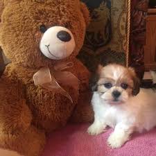 We did not find results for: Rene S Wonderful World Home Facebook