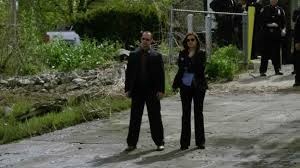Whant to watch law & order: Law Order Special Victims Unit Season 17 Episode 14 Dailymotion