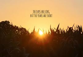 Das will ich heute sagen zu dir: Life Days Schone Spruche Englisch Schone Zitate Leben Spruche