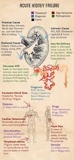 Acute Renal Failure Archives Nurses Tips Nurse